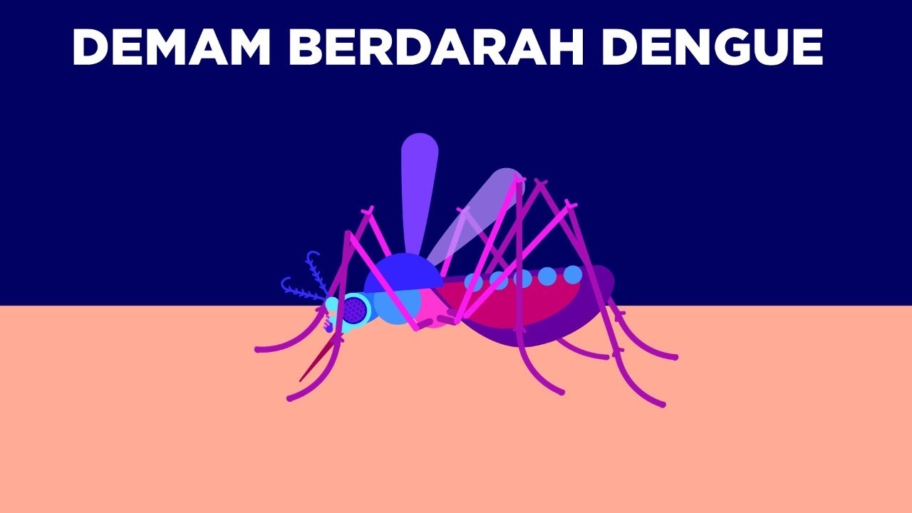 Demam Berdarah, Kok Bisa Banyak Kasus di Indonesia? - Apa Itu Demam Berdarah
