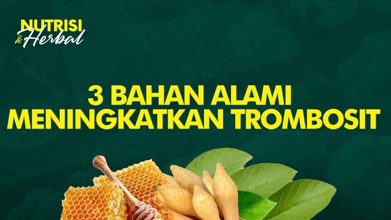 Cara Alami Meningkatkan Trombosit saat Demam Berdarah Dengue | Nutrisi & Herbal #6