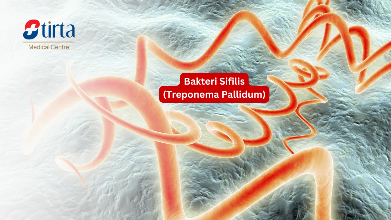 Bakteri Sifilis (treponema pallidum)