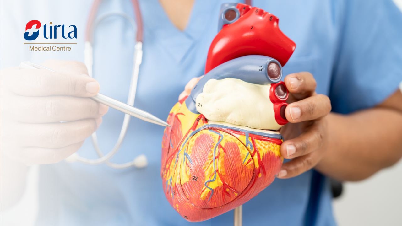 Jenis Penyakit Jantung